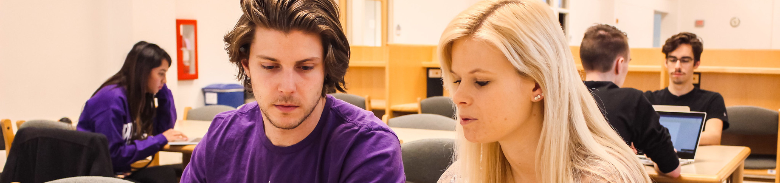 Psychology Minor Image